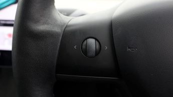 Tesla Model 3 ALL MODELS