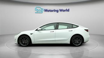 Tesla Model 3 ALL MODELS