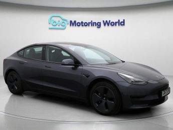 Tesla Model 3 ALL MODELS
