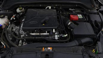 Ford Focus VIGNALE