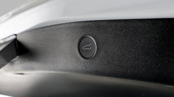 Tesla Model 3 ALL MODELS