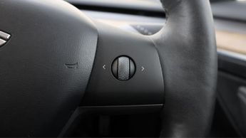 Tesla Model 3 ALL MODELS