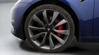 Tesla Model 3 ALL MODELS