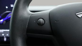 Tesla Model 3 ALL MODELS