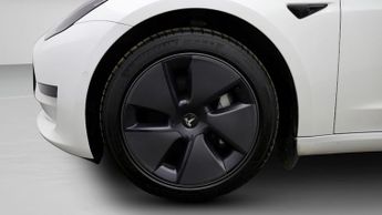 Tesla Model 3 ALL MODELS