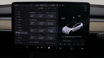Tesla Model 3 ALL MODELS