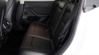 Tesla Model Y ALL MODELS