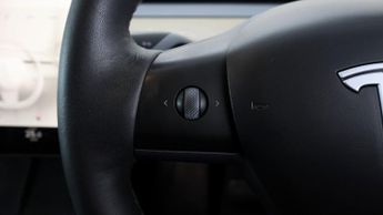 Tesla Model Y ALL MODELS
