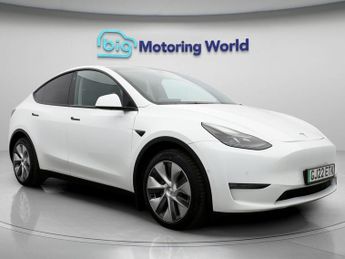 Tesla Model Y ALL MODELS