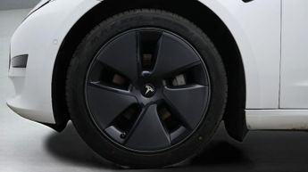 Tesla Model 3 ALL MODELS
