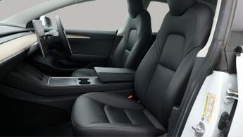Tesla Model 3 ALL MODELS
