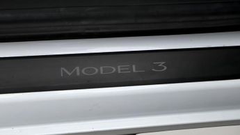 Tesla Model 3 ALL MODELS