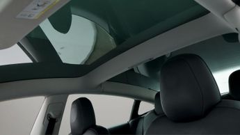 Tesla Model 3 ALL MODELS