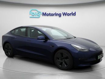 Tesla Model 3 ALL MODELS