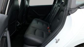 Tesla Model 3 ALL MODELS