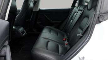 Tesla Model 3 ALL MODELS