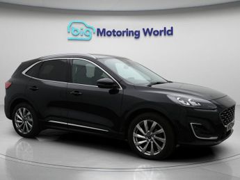 Ford Kuga VIGNALE ECOBLUE