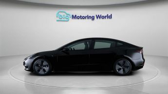 Tesla Model 3 ALL MODELS