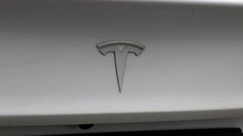 Tesla Model 3 ALL MODELS