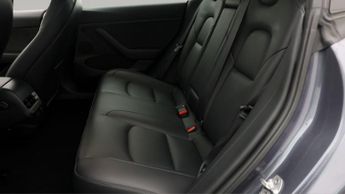 Tesla Model 3 ALL MODELS