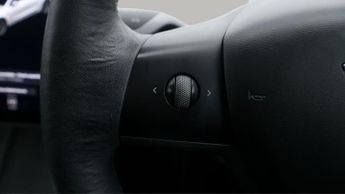 Tesla Model 3 ALL MODELS