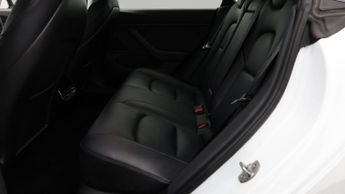 Tesla Model 3 ALL MODELS