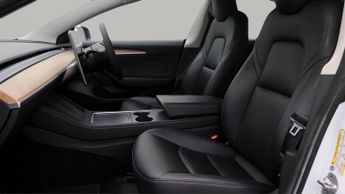 Tesla Model 3 ALL MODELS