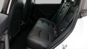 Tesla Model 3 ALL MODELS