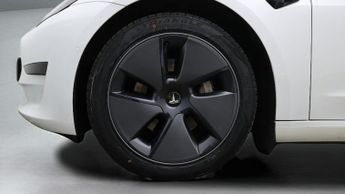 Tesla Model 3 ALL MODELS