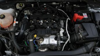 Ford Kuga TITANIUM EDITION ECOBLUE