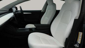 Tesla Model 3 ALL MODELS