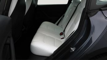 Tesla Model 3 ALL MODELS