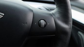 Tesla Model 3 ALL MODELS