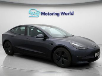 Tesla Model 3 ALL MODELS
