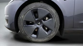 Tesla Model 3 ALL MODELS