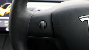 Tesla Model 3 ALL MODELS