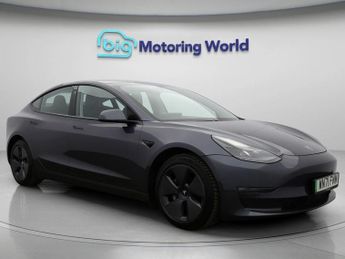 Tesla Model 3 ALL MODELS