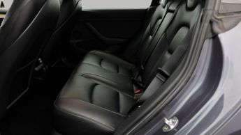 Tesla Model 3 ALL MODELS