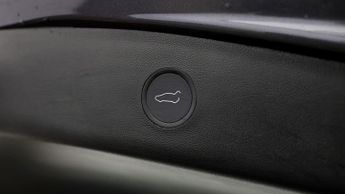 Tesla Model 3 ALL MODELS