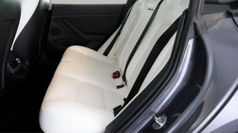 Tesla Model 3 ALL MODELS