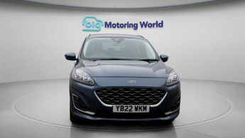 Ford Kuga VIGNALE