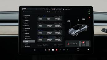 Tesla Model 3 ALL MODELS