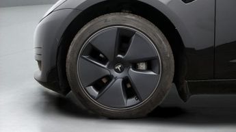 Tesla Model 3 ALL MODELS