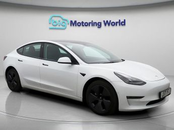 Tesla Model 3 ALL MODELS