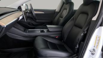 Tesla Model 3 ALL MODELS