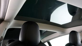 Tesla Model 3 ALL MODELS