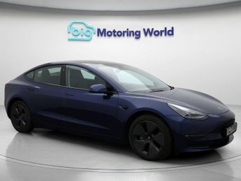 Tesla Model 3 ALL MODELS