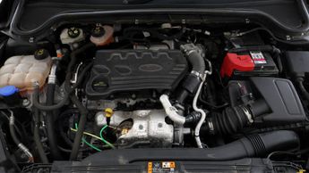 Ford Focus ST-LINE VIGNALE ECOBLUE