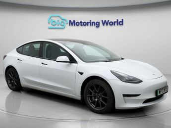 Tesla Model 3 ALL MODELS