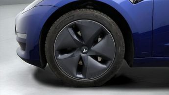 Tesla Model 3 ALL MODELS